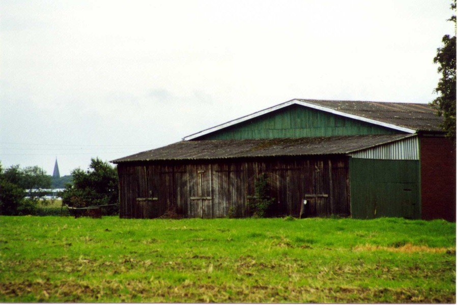 Shed